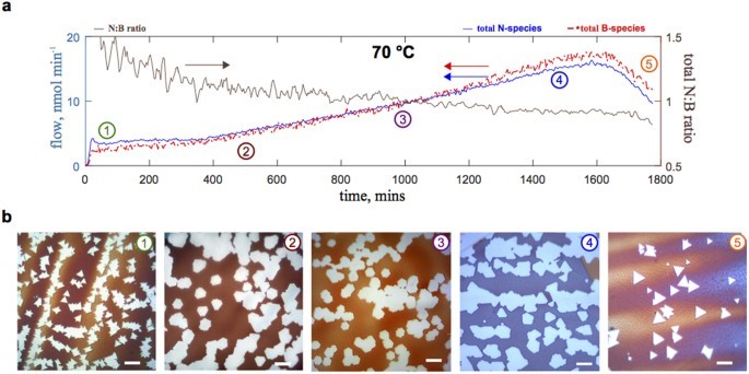 Quantum Materials by Design: Synthesis and Chemistry of Spin Defects in ...
