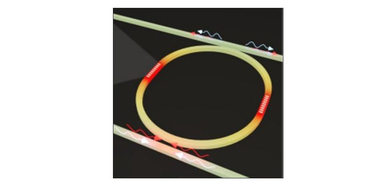 An example of the control signals which carry the weighted input signals and probe signals