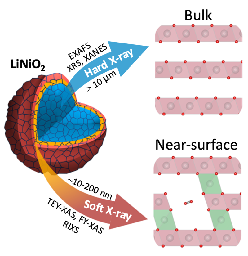 cathode redox picture