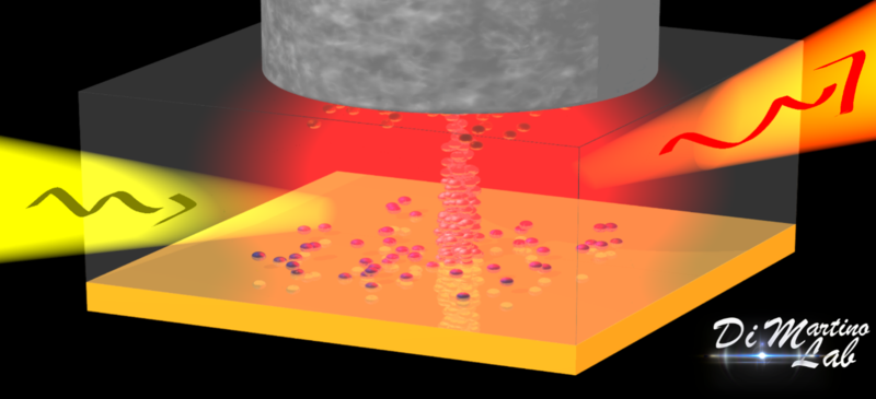 Optical nanoscopy of plasmonic nanocavities