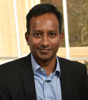 Professor Harish Bhaskaran